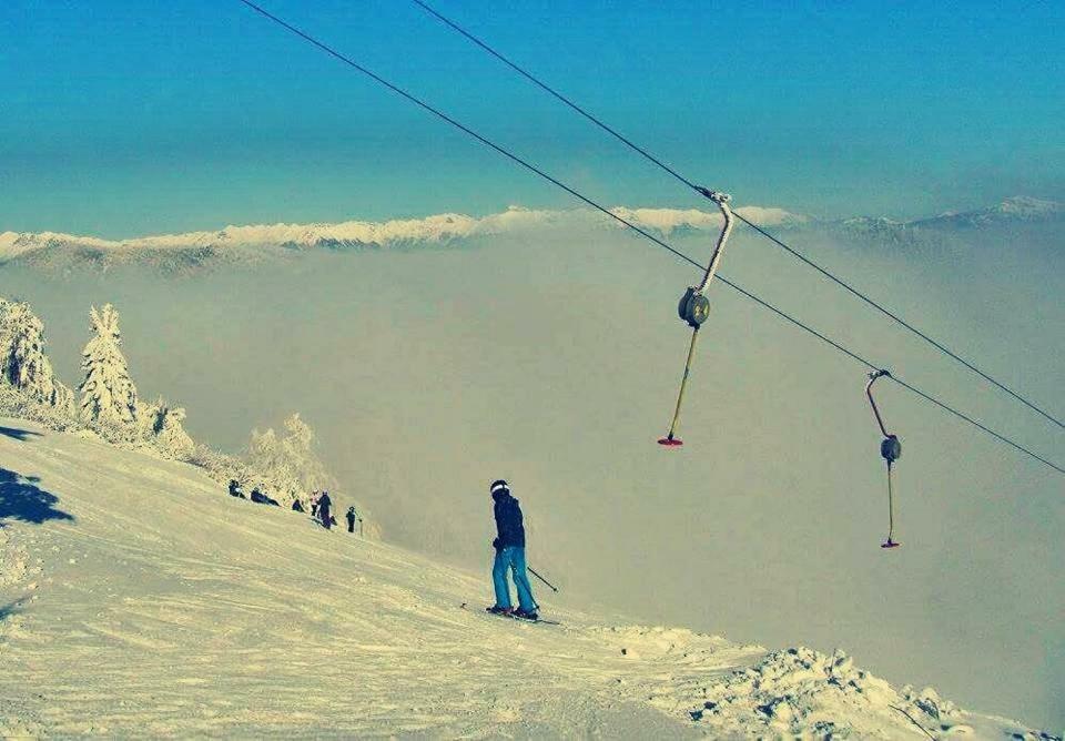 Apartma Alpski Vrt Vojsko Zewnętrze zdjęcie